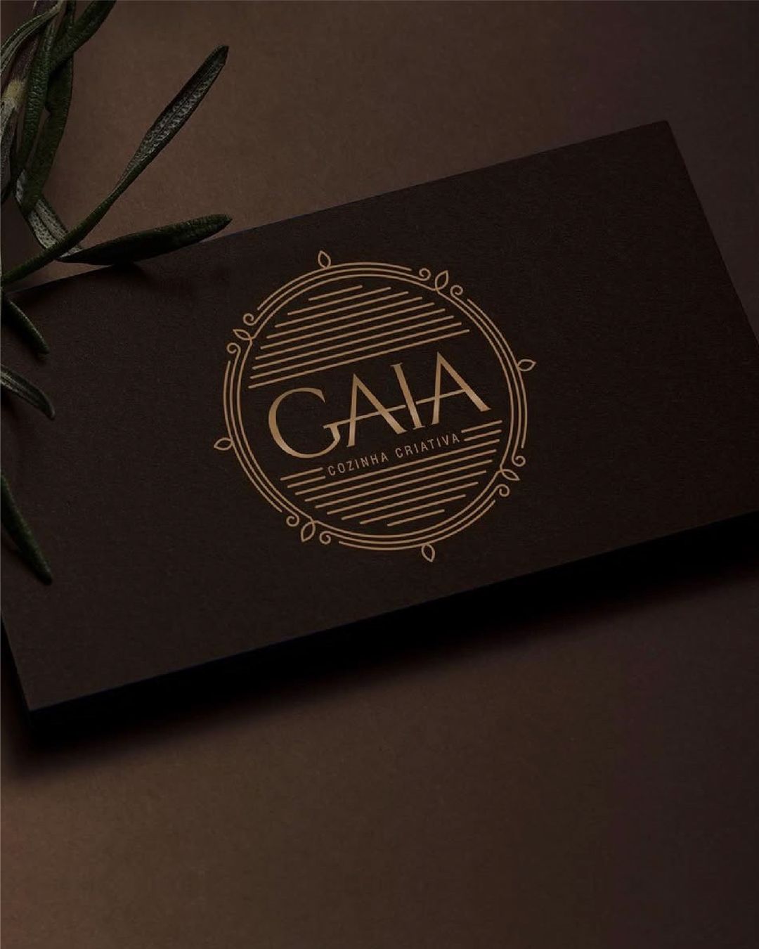 GAIA (variação 8)